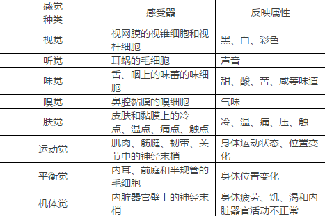 教师招考心理学:感觉与知觉